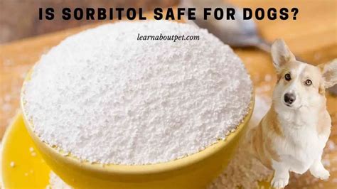 Is sorbitol safe for dogs - Even the tiniest amount of sucralose can lead to intestinal pain and runny bowels in pets. If your dog eats sucralose, most probably, it’ll experience a sudden fit of diarrhea. To help your pup, you can give it rice, yogurt, or plain pumpkin. In most cases, the symptoms should go away within 24 hours.